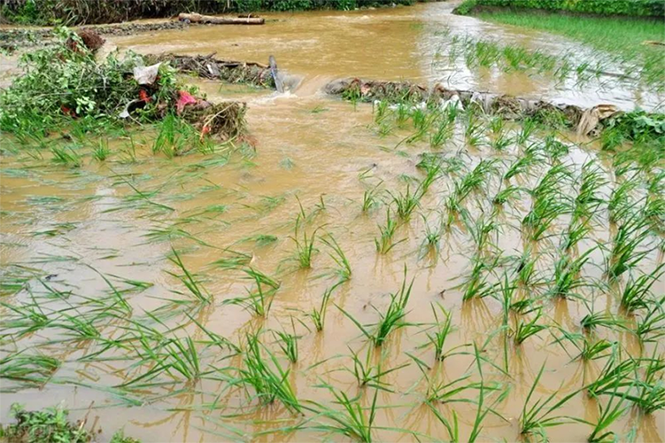 铭品装饰       7月17日以来，河南省遭遇极端强降雨，多地致灾，城市内涝，山体滑坡，人员被困，防汛形势严峻。河南暴雨牵动人心，危难之中，有人挺身而出，冒雨守护，有人汇聚微光，风雨同行，子弟兵紧急出动，奔赴抗灾救援一线。       河南省气象台2021年07月20日21时40分继续发布暴雨红色预警：目前，郑州、开封、新乡、平顶山四地区和许昌、周口两地区西部部分地区降水量已达50毫米以上，预计未来3小时内，上述地区降水持续，累积降水量将达100毫米以上。       据河南省周口市水利局官网通知，周口市水利局决定于7月21日2时起，将水旱灾害防御Ⅳ级应急响应提升至Ⅱ级应急响应。通知提到，7月21日0时贾鲁河支流双洎河新郑站流量达到998立方米每秒，预计周口市贾鲁河将出现一次近40年来最大洪水。       7月22号一声令下，迅速撤离扶沟贾鲁河沿岸群众近20万多人。7月24号下午险情进一步提升，县城告急，练寺镇告急，韭园镇告急，汴岗告急，古城告急……，撤离村庄更多，河堤多处溢水漫过农田，部分村庄已进水，县城更是险情严峻。    河南加油      扶沟县委、政府精准研判，科学调度，转移出去将近40万人，扶沟人民牺牲自己的万亩良田和美好家园，给上下游抢险争取了时间。       洪灾无情人有情，一方有难八方援。险堤上党旗飘扬，安置点高声颂歌，没有共产党就没有新中国。有几万官兵的守卫，有上万名干部群众组成的抢险突击队坚守大堤，有上万名志愿者参与保障，扶沟全县众志成城，万众一心，共克难关。    洪灾无情人有情，一方有难八方援  洪灾无情人有情，一方有难八方援       扶沟县连续暴雨中，各志愿者参与泄洪活动，在政府的指导下将人民撤离至安全地带。其中，铭品装饰的一位家人彭艳雨，老家地址正位于河南省周口市扶沟县古城乡古城，家中有爷爷奶奶两名成员。          7月26日，公司得知情况后，第一时间打去电话慰问员工家里情况，送去关怀。并让员工如果有需求，第一时间报给公司。7月27日，管理中心携带张一良董事长的物资问候，给彭艳雨员工家里送去冰箱一台。       天灾无情，铭品有爱！前段时间河南水灾，我们好运分公司有两位河南籍员工，总部第一时间电话慰问，其中一个员工家里受灾严重，公司也在第一时间送上了慰问物资。     家，足以承载一生。自02年成立以来，“家”文化一直都是铭品文化的内核。铭品装饰也始终坚守为家人营造和谐温暖的家文化，也为家人的才华提供更多发展空间，更为信任铭品的业主打造放心的家、满意的家。 